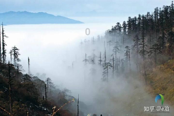 小猫钓鱼正版下载中文版